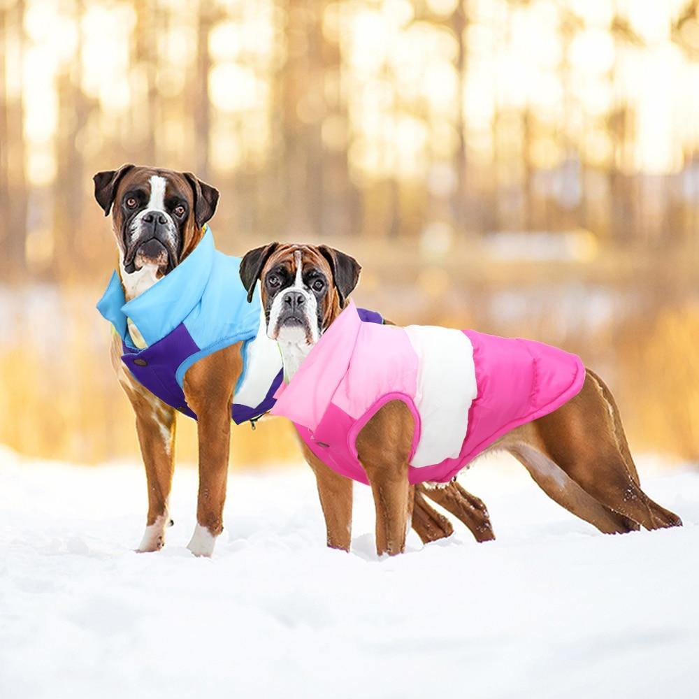 Large Dog Winter Jacket Coat - Lovepawz