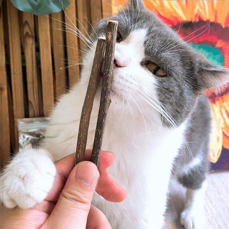Natural Catnip Pet Cat Molar Toothpaste Stick - Lovepawz
