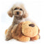 Cute Plush Dog Snuggle Sleep Heart Toy Bear - Lovepawz