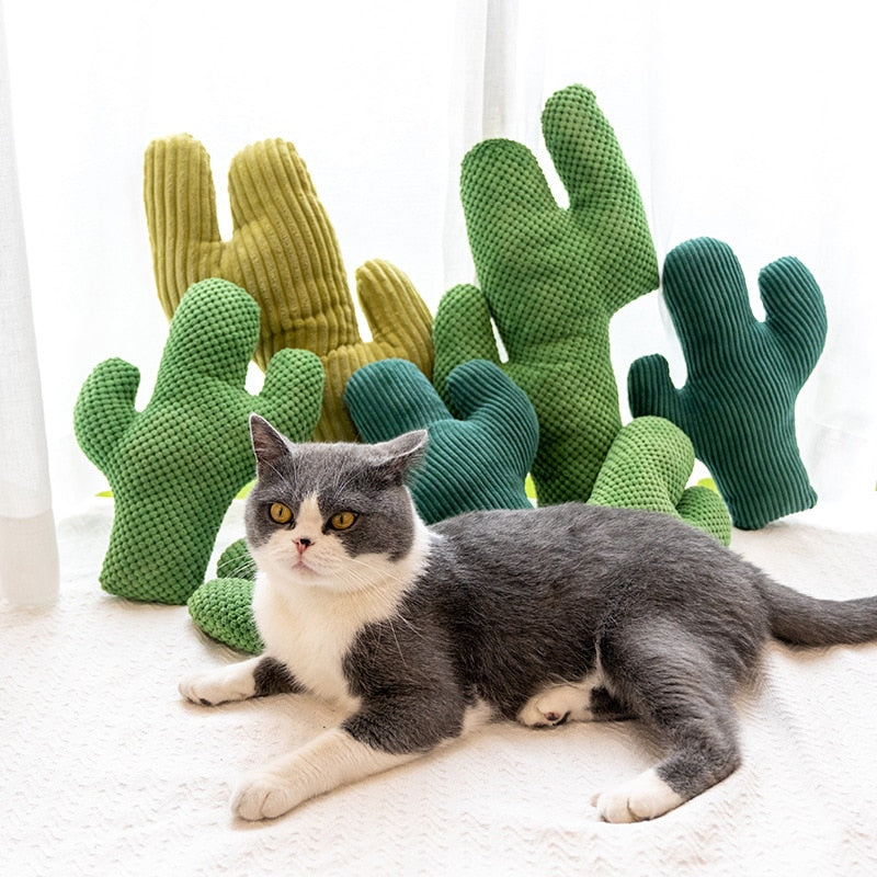 Cactus Catnip Cat Toy Pet Plush Chew Teeth Toy - Lovepawz