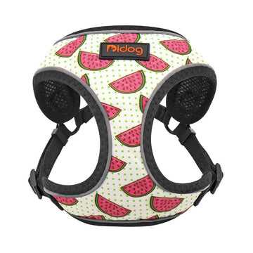 Watermelon Sugar Harness Set - Lovepawz