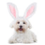 Dog Bunny Ears Easter Puppy Costume - Lovepawz