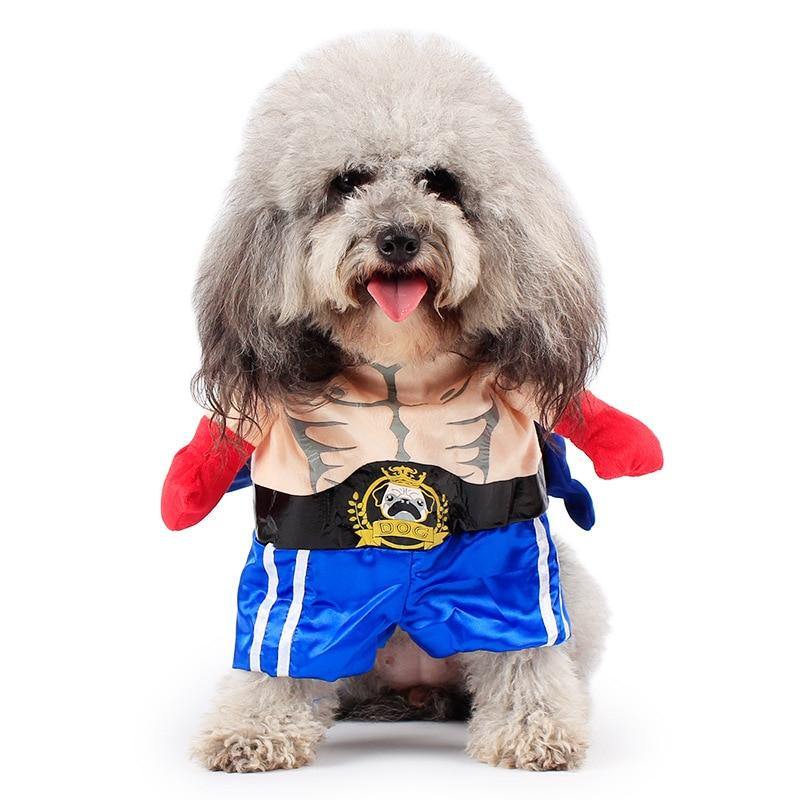 Funny Dog Boxer Costume - Lovepawz