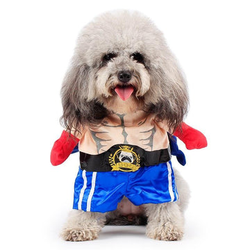 Funny Dog Boxer Costume - Lovepawz