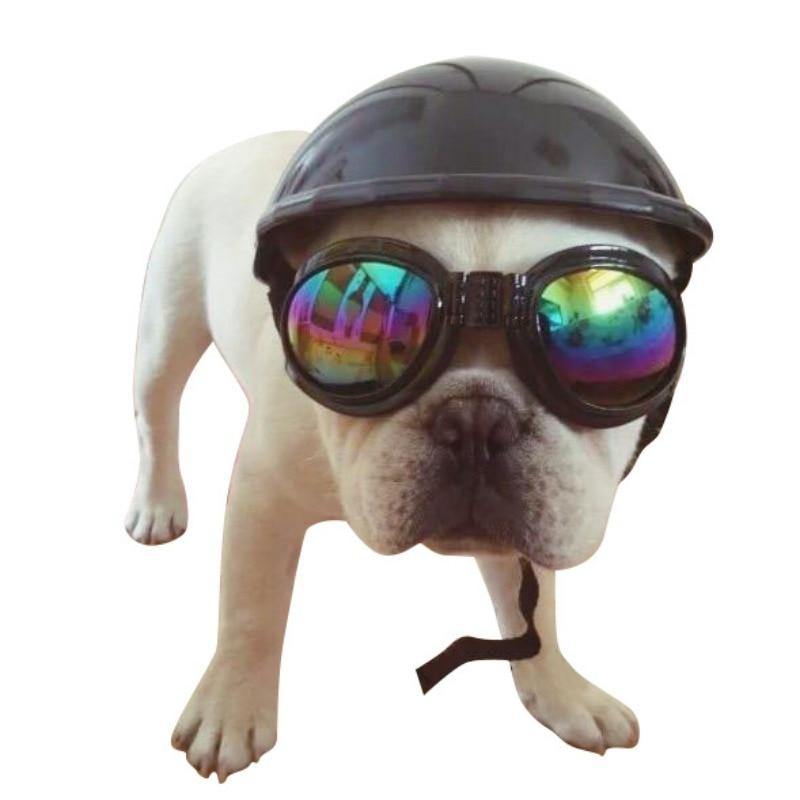 Cool Dog Motorcycle Fashion Plastic Hat Helmet – Lovepawz Cool Dog Motorcycle Fashion Plastic Hat Helmet – Lovepawz