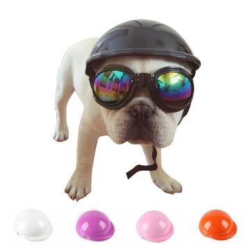 Cool Dog Motorcycle Fashion Plastic Hat Helmet - Lovepawz