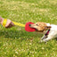 Training Interactive Agility Dog Chewing Training Ball - Lovepawz