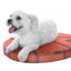 Basketball Shaped Dog Mat Cushion Bed - Lovepawz