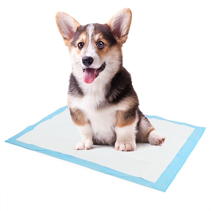 Super Absorbent Dog Training Disposable Urine Pee Pad - Lovepawz