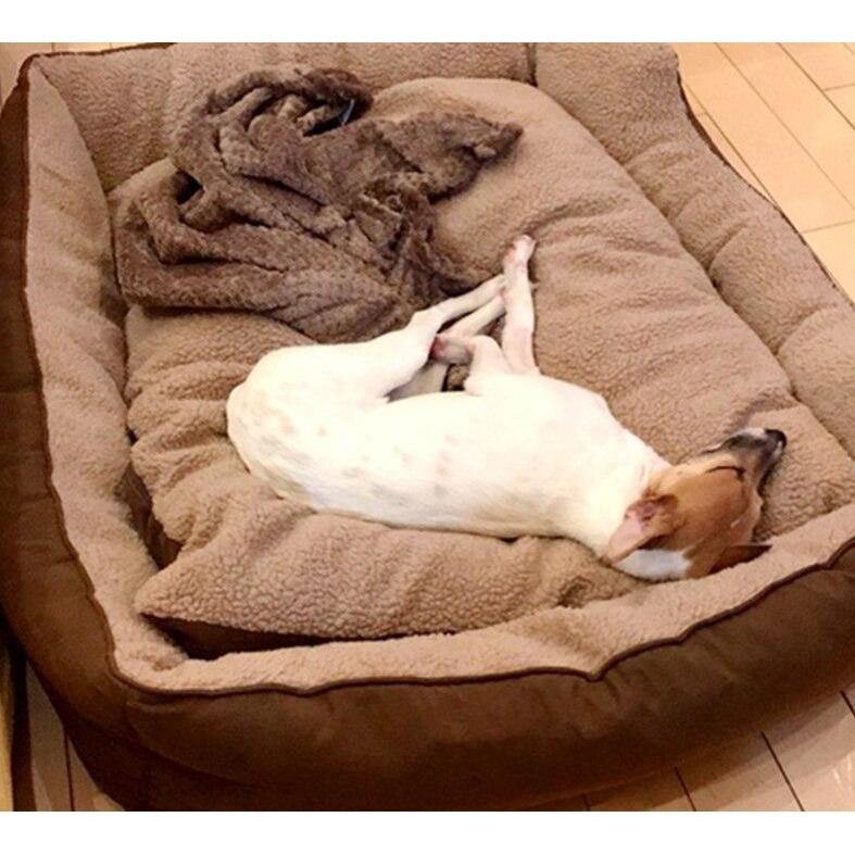 Large Dog Bed - Lovepawz