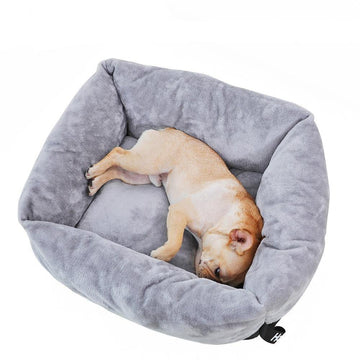Fleece with Cushion - Lovepawz