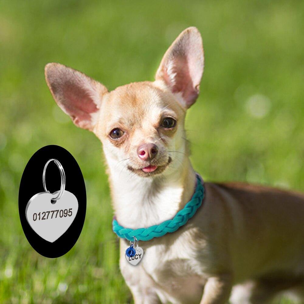 Suede Braided Dog Puppy Collar ID Tag - Lovepawz