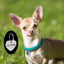 Suede Braided Dog Puppy Collar ID Tag - Lovepawz