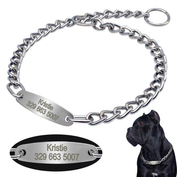 Personalized Chain Slip Collar - Lovepawz