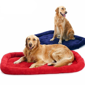 Flate Bed For Large Dogs - Lovepawz
