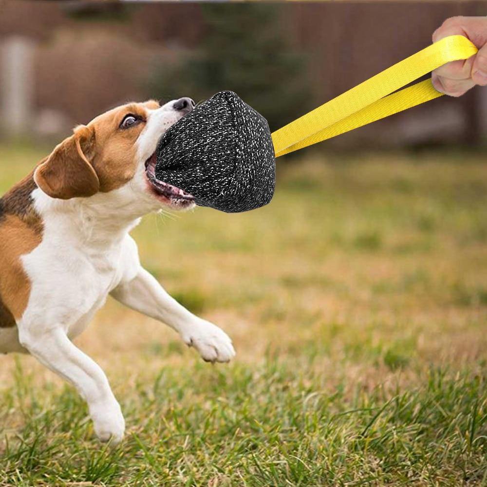 Training Interactive Agility Dog Chewing Training Ball - Lovepawz