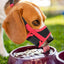 Mesh Nylon Dog Anti-Biting Training Muzzle - Lovepawz