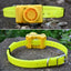Rechargeable Hunting Waterproof Dog Beeper Collar - Lovepawz