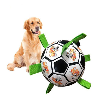 Dog Outdoor Interactive Soccer Chew Ball Bite Toy - Lovepawz