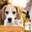 Pet Dog Calming Essential Vegetable Oil Pet Anxiety Relief Treatment - Lovepawz