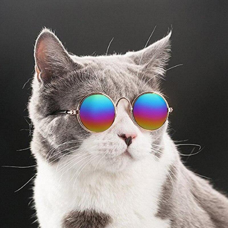 Cat Hippie Sunglasses - Lovepawz