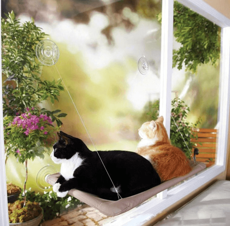 Cat Window Hammock - Lovepawz