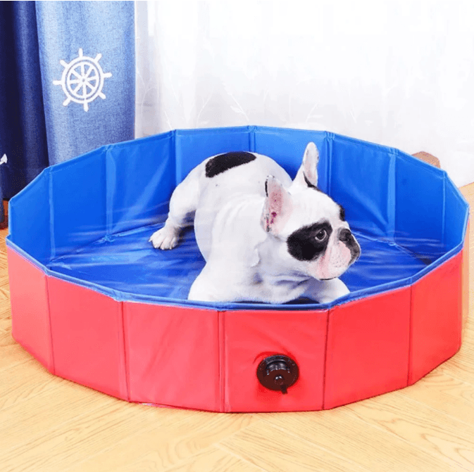 Foldable Pet Collapsible Swimming Pool - Lovepawz